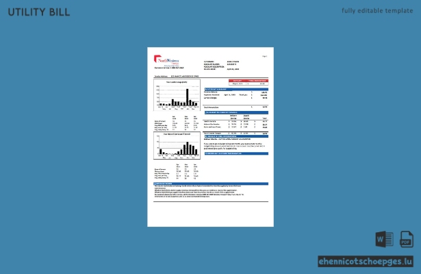 USA NorthWestern Energy Stromrechnung Version 1 Beispielvorschau